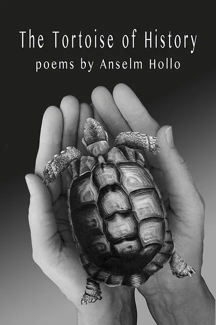 The Tortoise of History CHPbeta