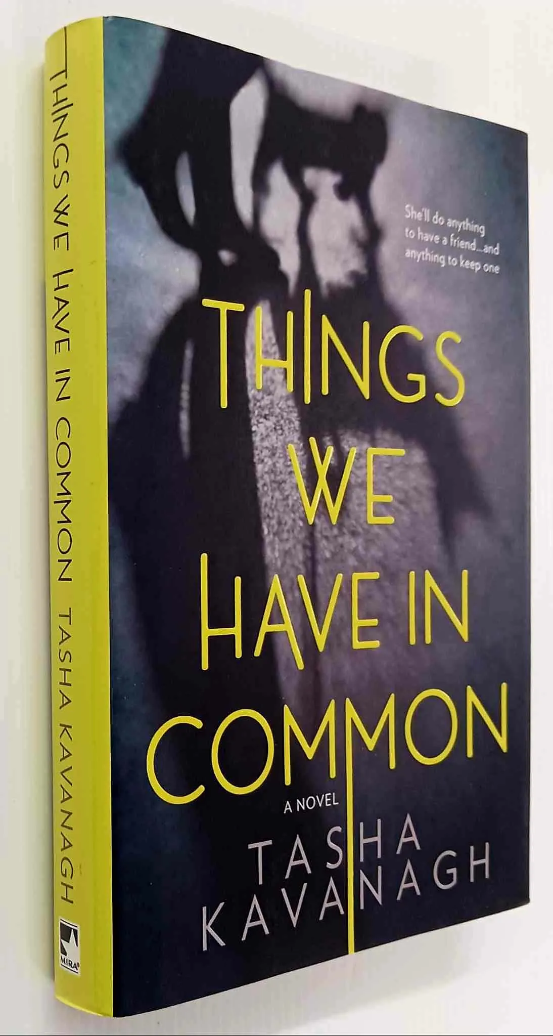 THINGS WE HAVE IN COMMON - Tasha Kavanagh