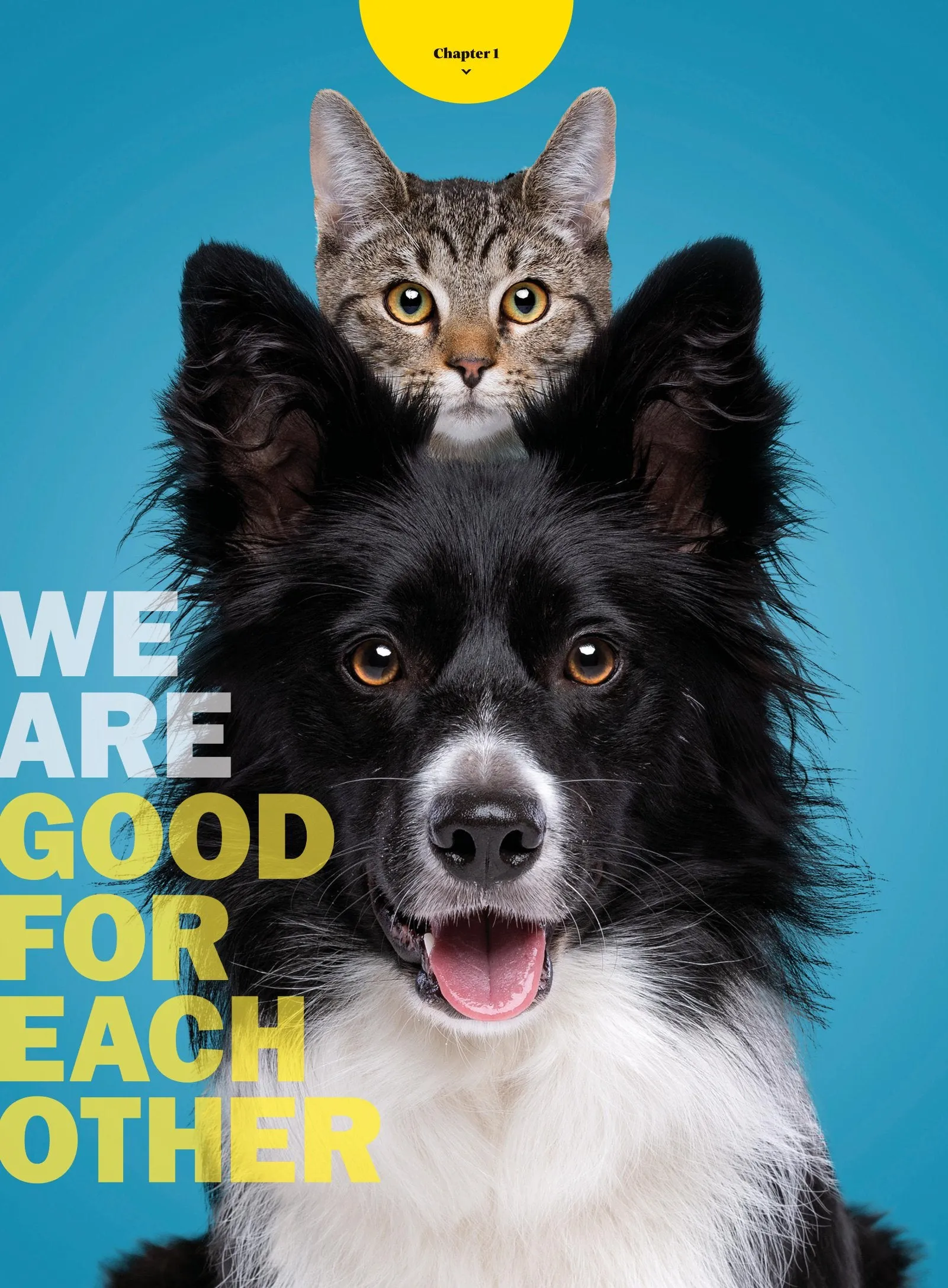 TIME Special Edition - Pets: Guide To Understanding Our Best Friends, Human & Pet Relationship, Scientific Benefits, Inside Your Dog & Cats Mind, Communication Tips, Training Tricks, Fun Facts & More!