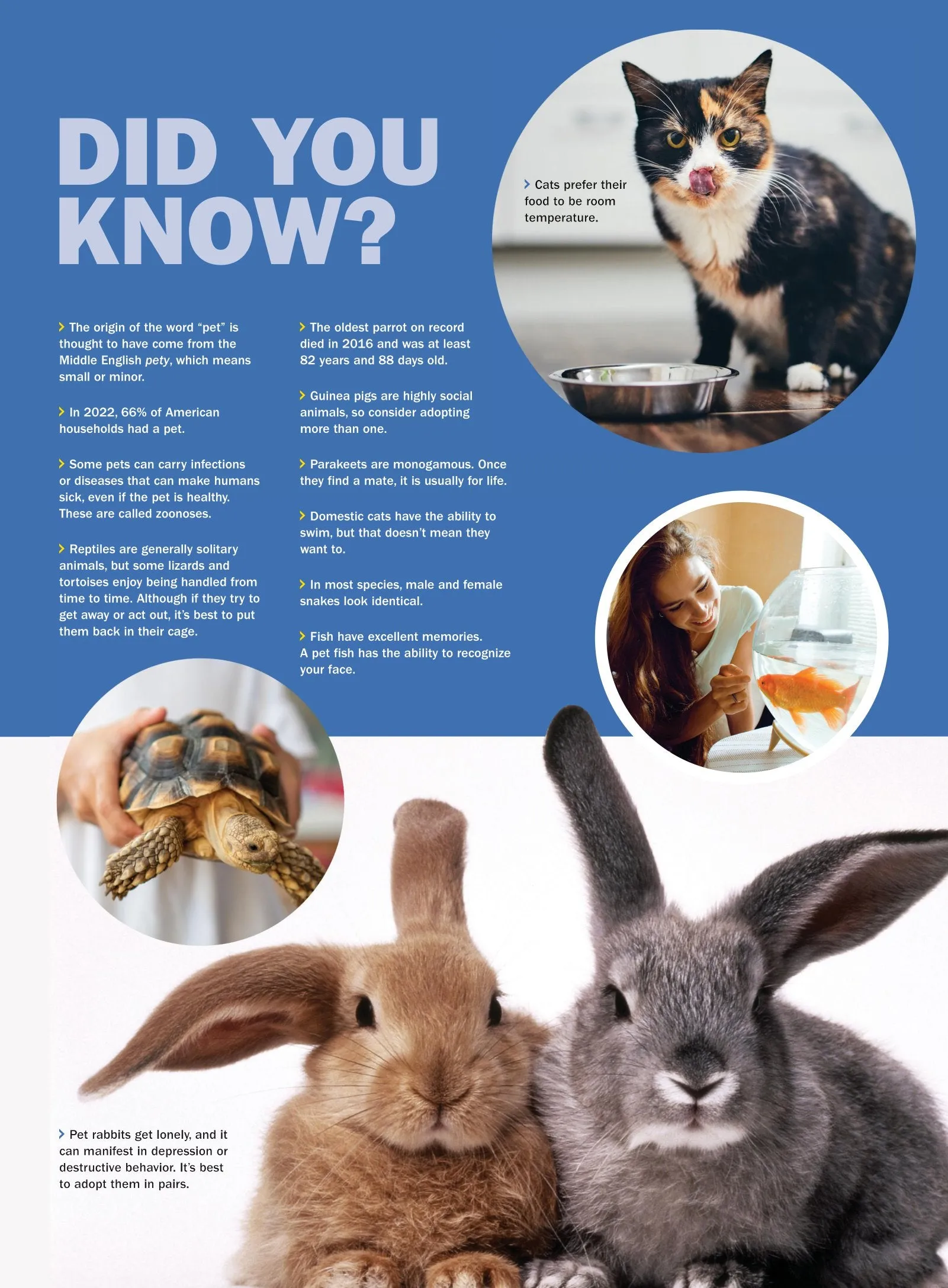 TIME Special Edition - Pets: Guide To Understanding Our Best Friends, Human & Pet Relationship, Scientific Benefits, Inside Your Dog & Cats Mind, Communication Tips, Training Tricks, Fun Facts & More!