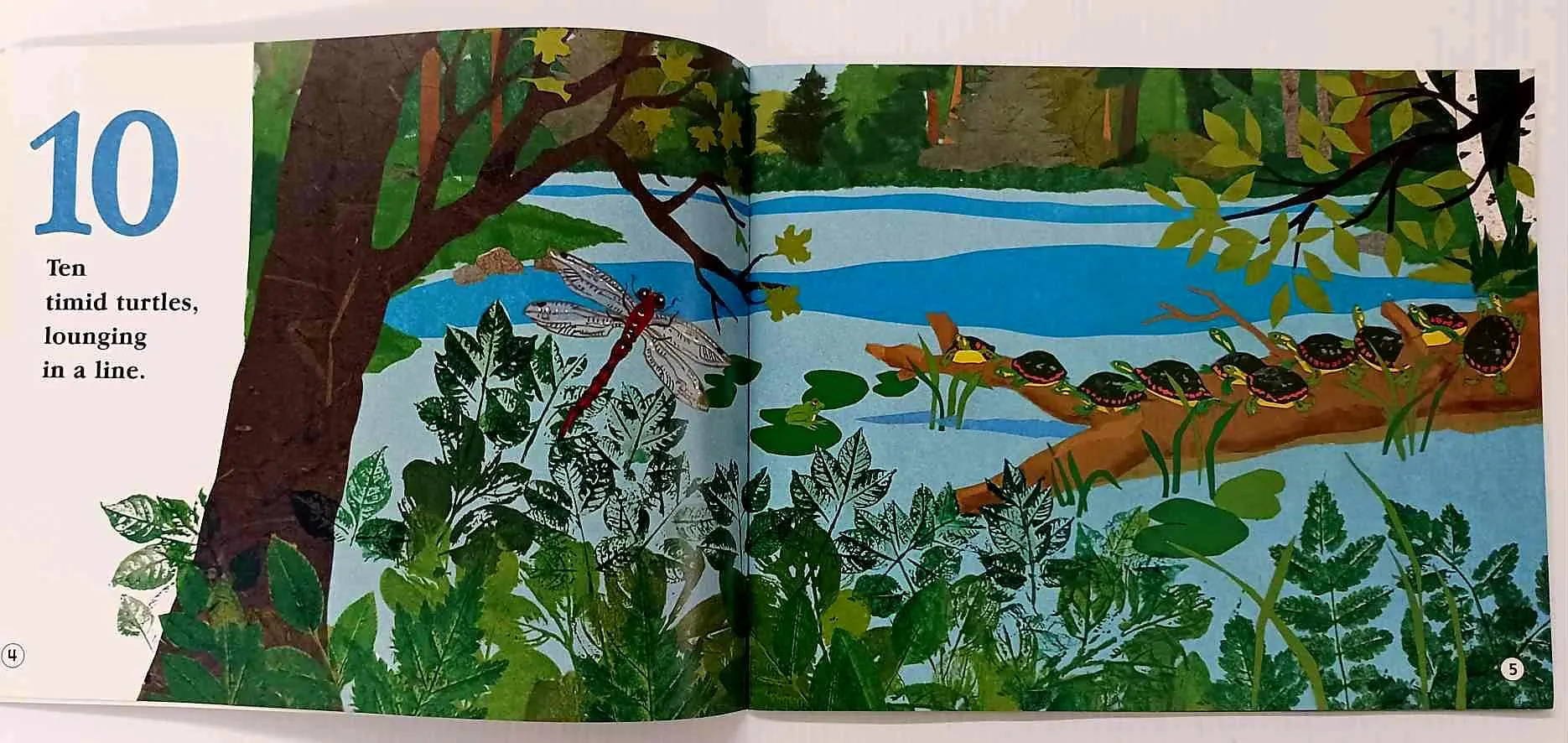 TURTLE SPLASH! - Cathryn Falwell