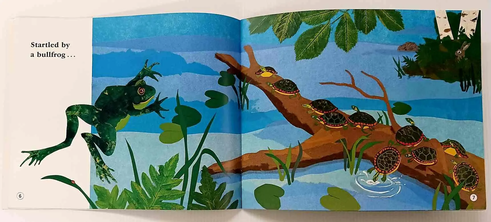 TURTLE SPLASH! - Cathryn Falwell