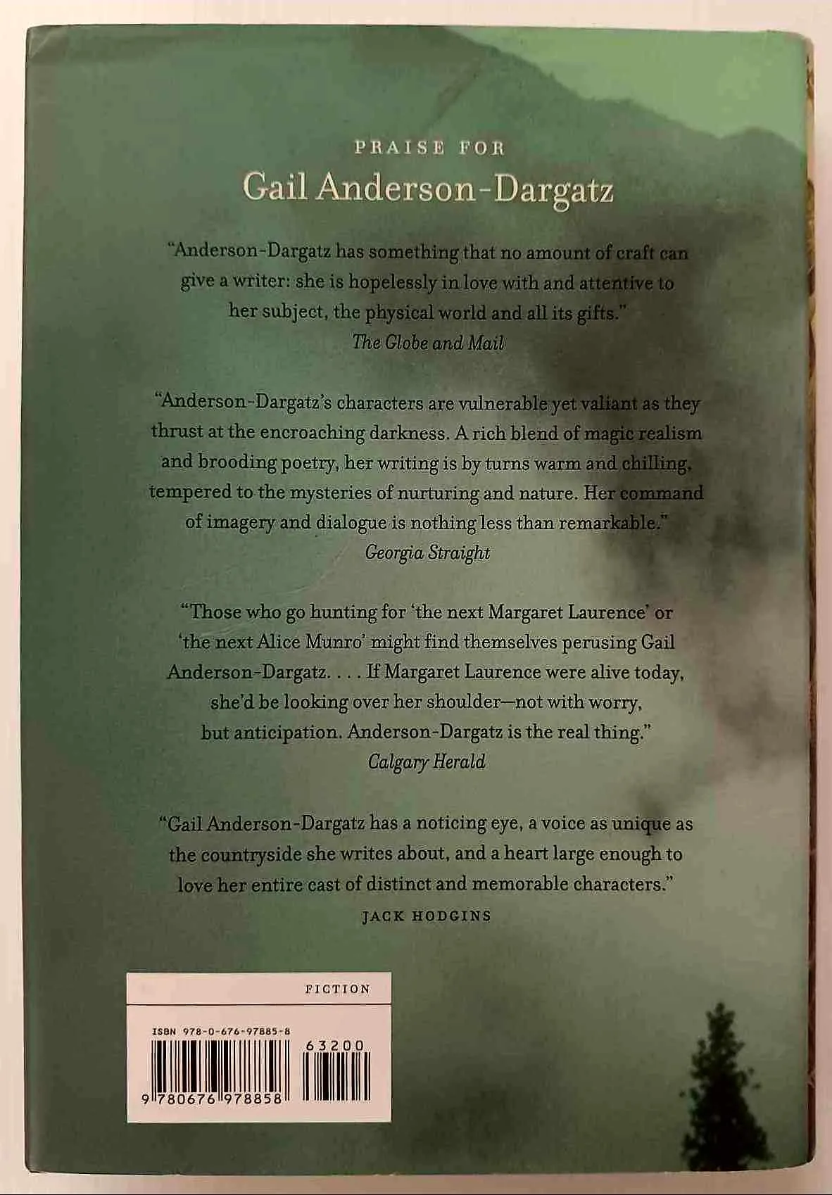 TURTLE VALLEY - Gail Anderson-Dargatz