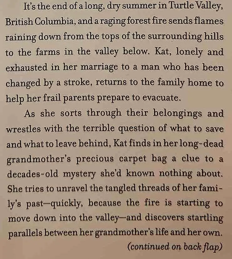 TURTLE VALLEY - Gail Anderson-Dargatz
