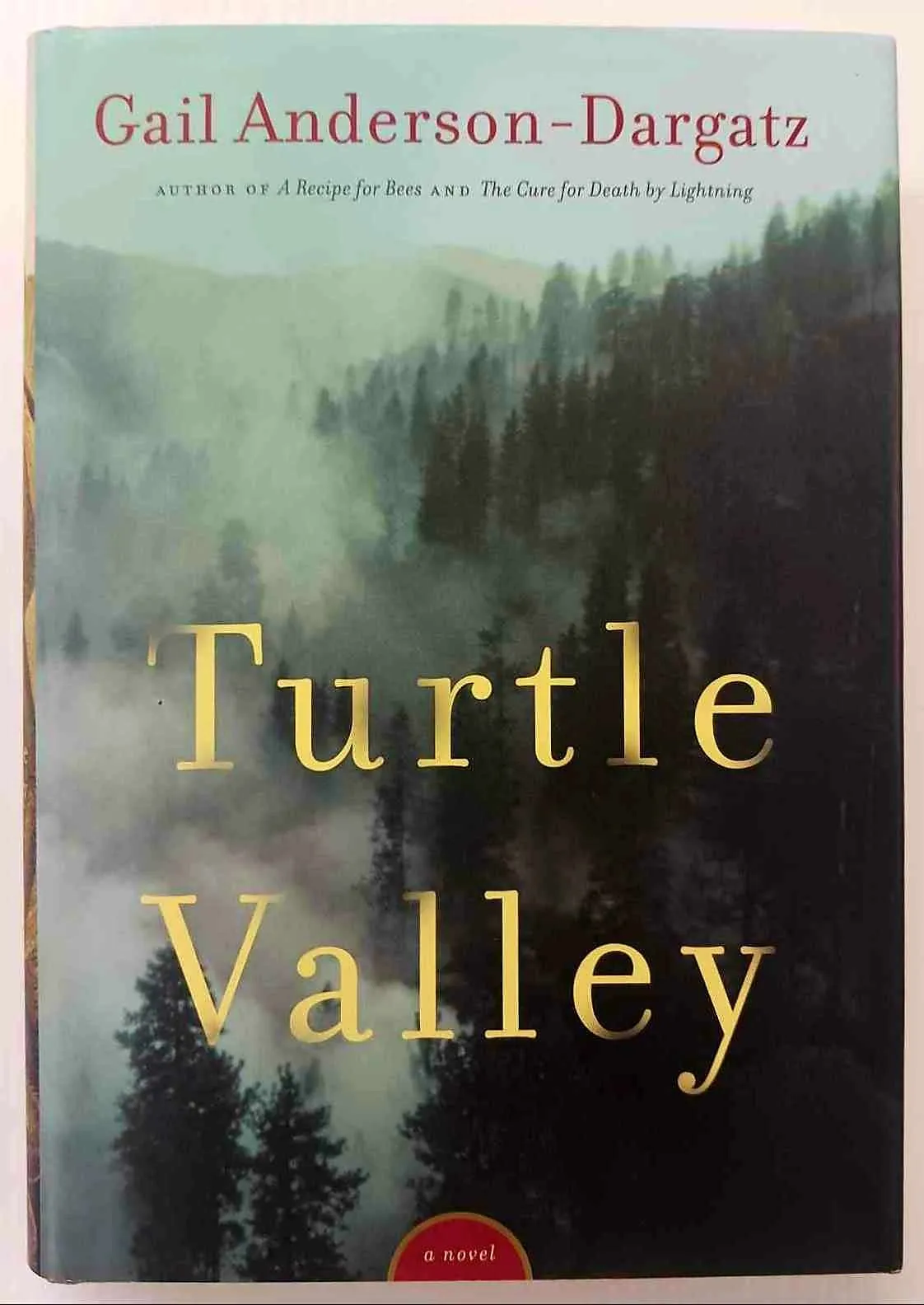 TURTLE VALLEY - Gail Anderson-Dargatz