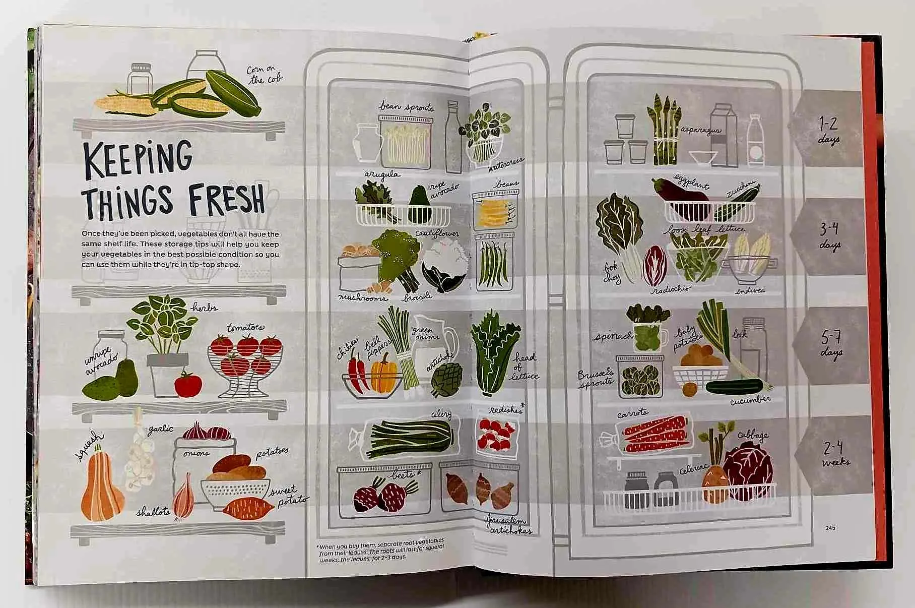 VEGETABLES FIRST - Ricardo Larrivee