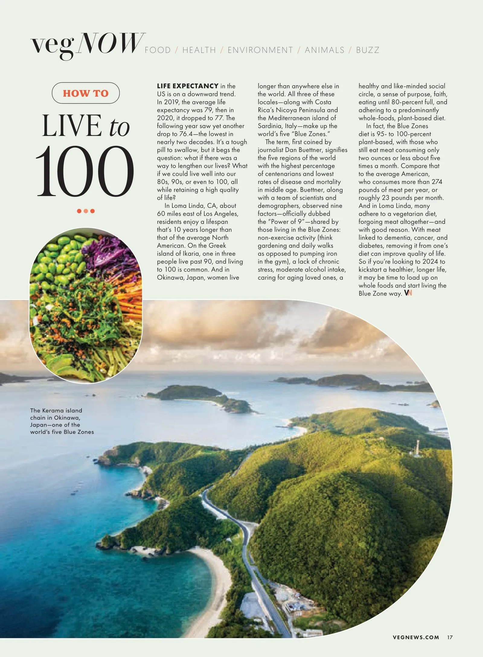 VegNews - 2024 Wellness Issue: Plant-Based Products, Recipes, Food Trends, Beauty, Fashion, Media, Secrets To The Blue Zone, Indulge Like A Parisian, Ramen, Pho, Pozole, Vegan-Friendly Resorts & More!