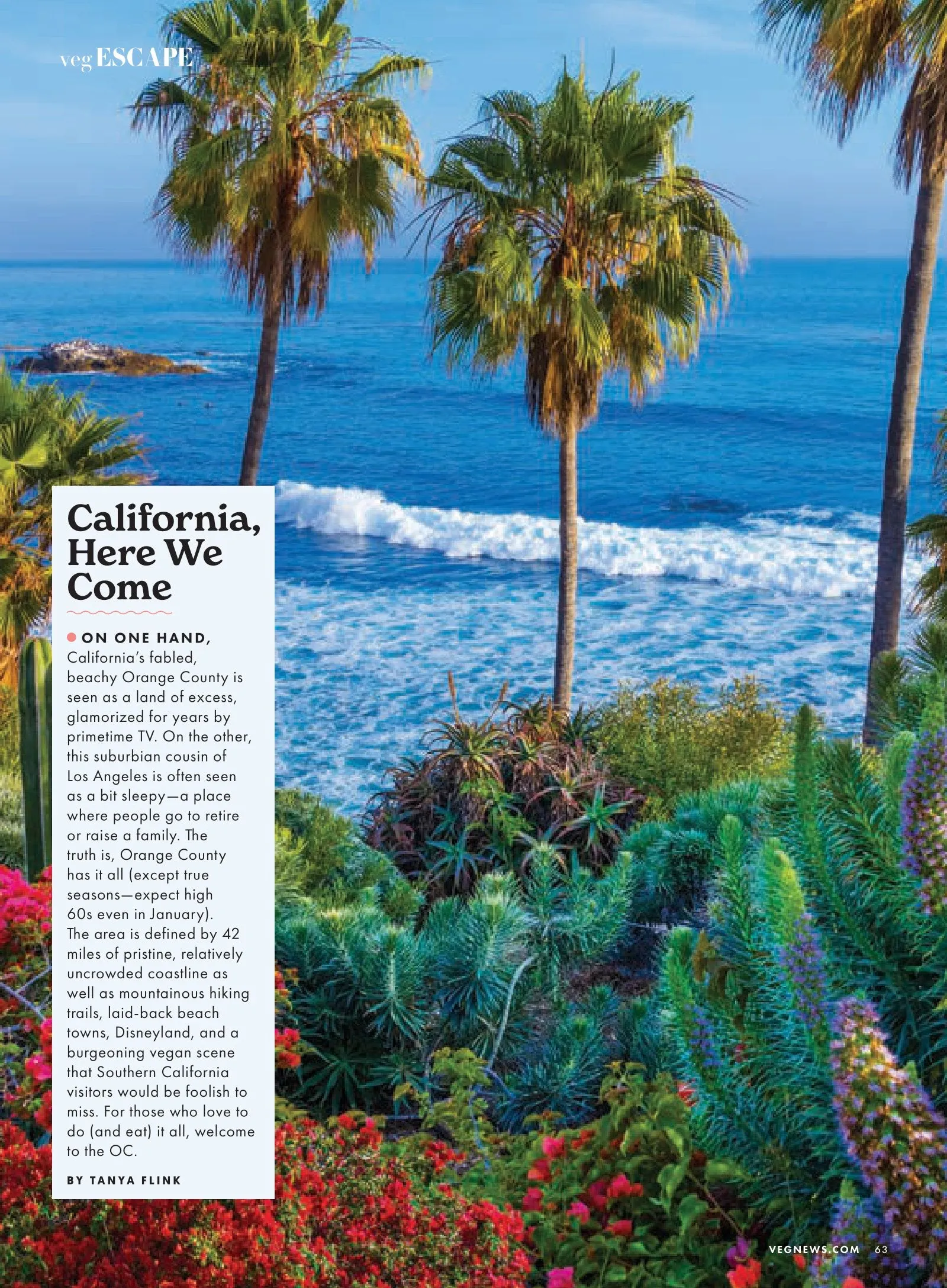 VegNews - 2024 Wellness Issue: Plant-Based Products, Recipes, Food Trends, Beauty, Fashion, Media, Secrets To The Blue Zone, Indulge Like A Parisian, Ramen, Pho, Pozole, Vegan-Friendly Resorts & More!