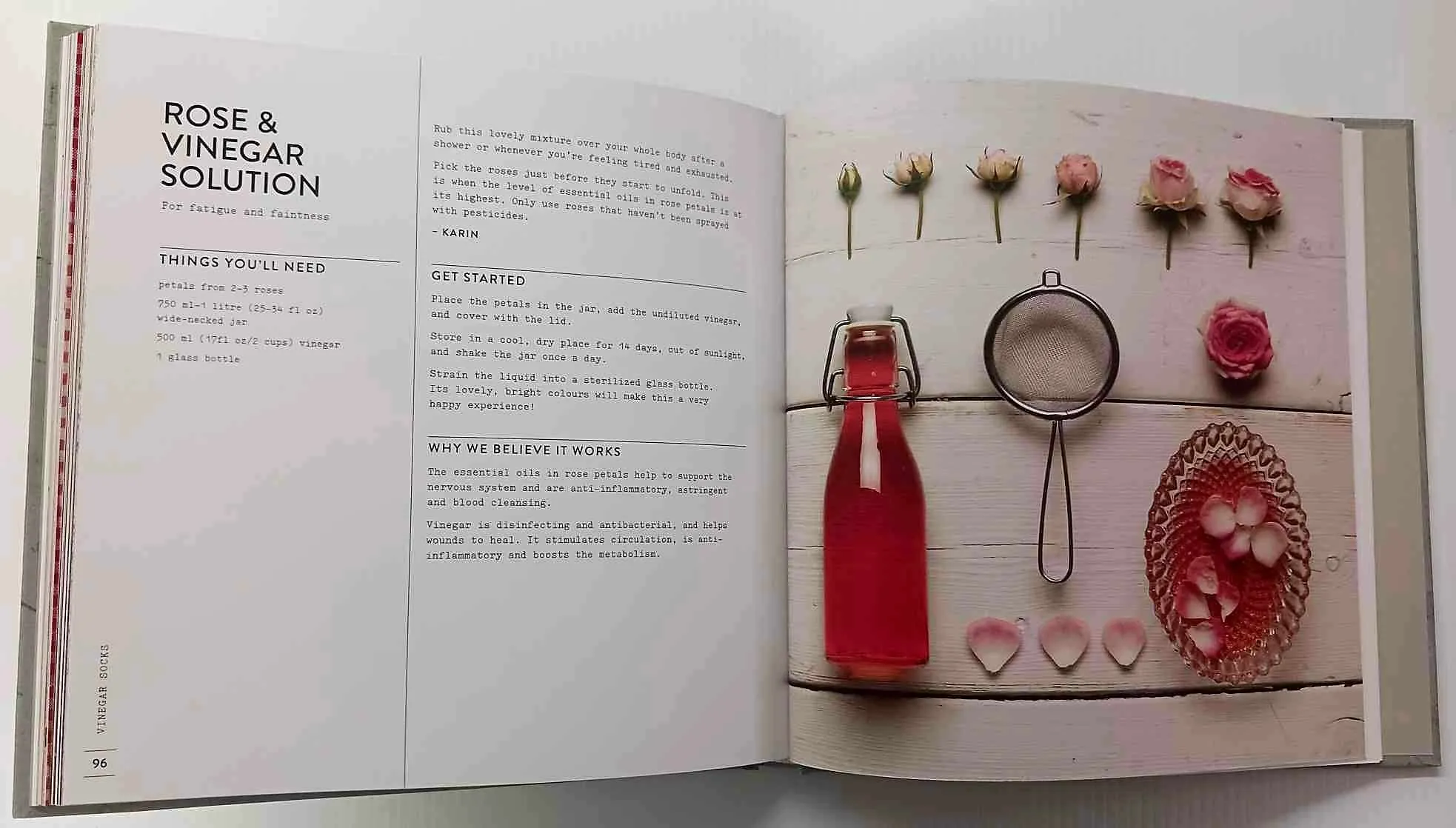 VINEGAR SOCKS - Karin Berndl, Nici Hofer
