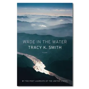 Wade in the Water