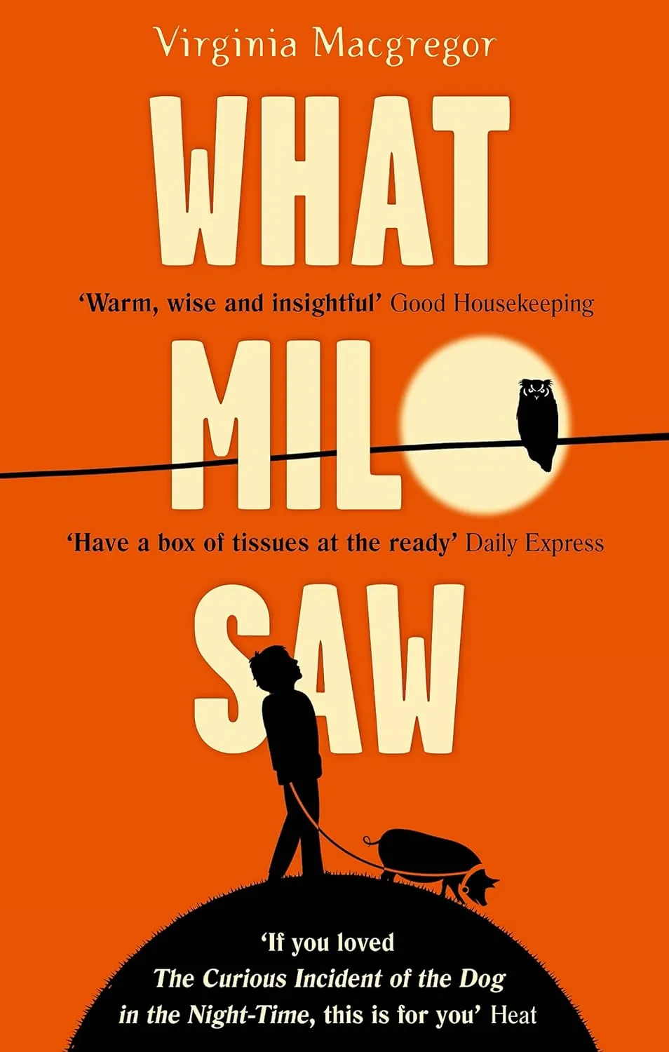 What Milo Saw: He Sees The world In A Very Special Way . . . Paperback