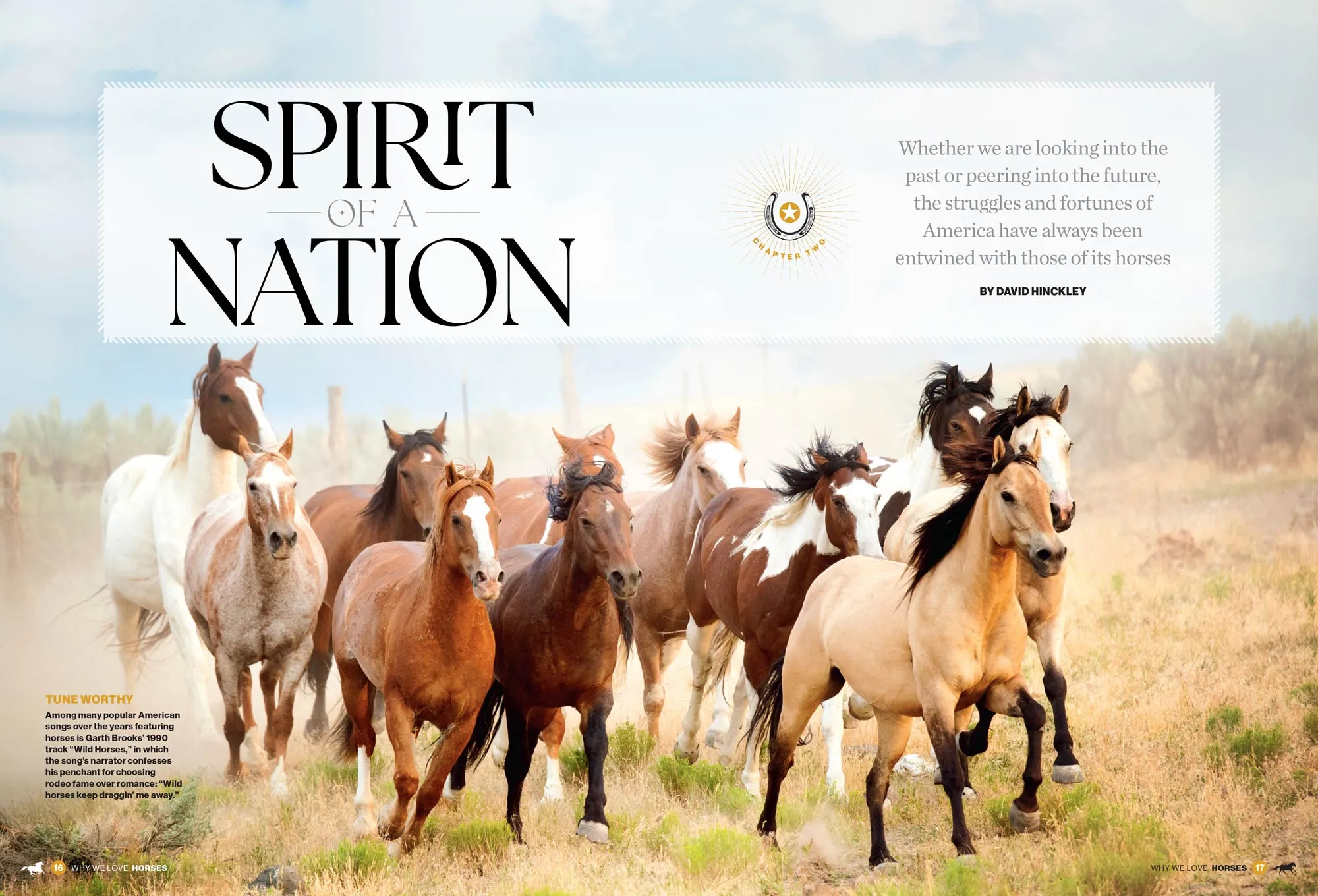 Why We Love Horses -  Equine Beauty, Horse Racing, Therapeutic Benefits, Equestrian Lifestyle, Horse Care Tips, Family Bonds, Sporting Culture, Healing & Wellness, Inspiring Stories & Cultural Impact!
