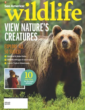 Wildlife- View Nature's Creatures Explore All 50 States National & State Parks Wild Refuges & Sanctuaries   Bonus: 10 Pro Tips For Best Photos
