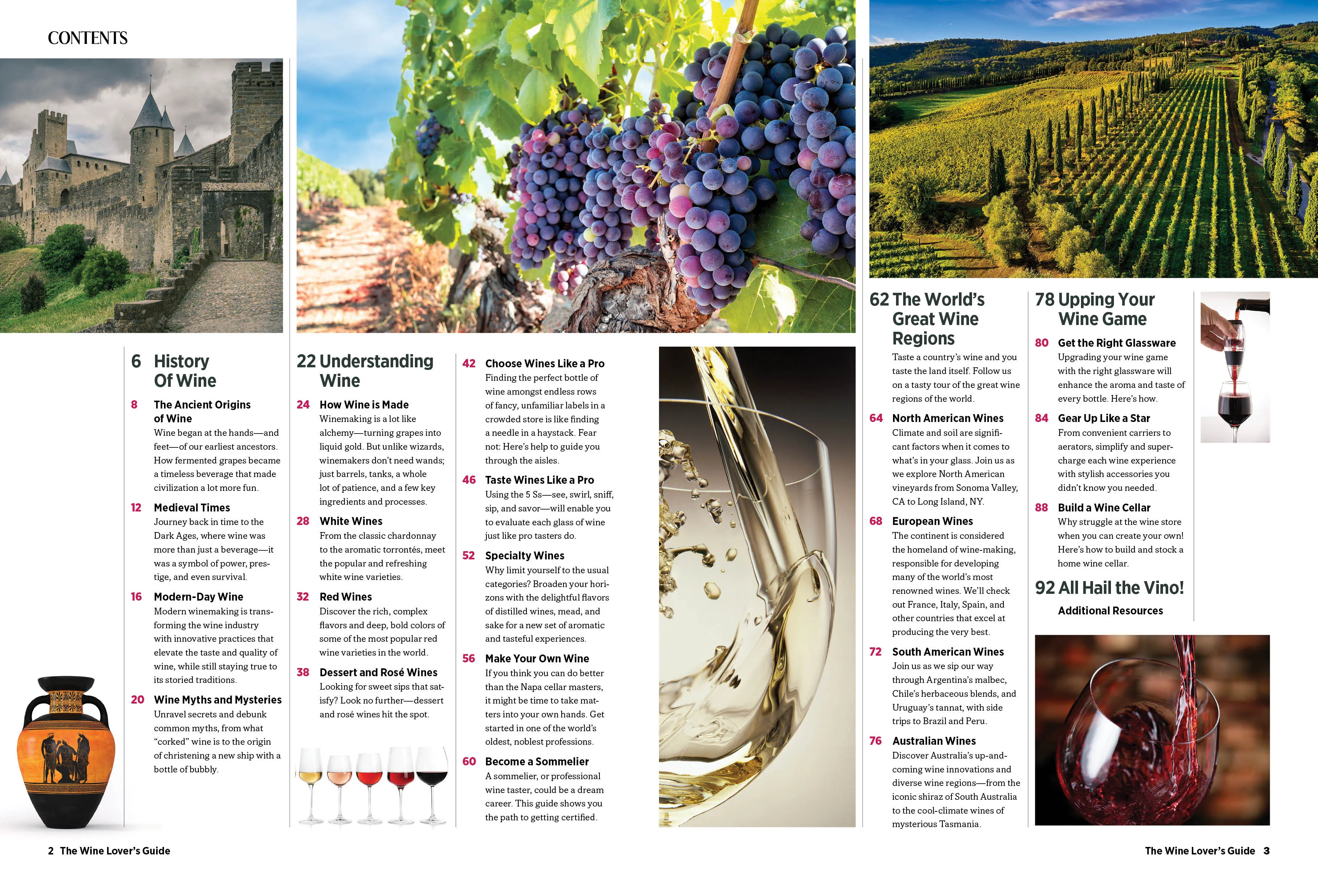 Wine - The Essential Guide: Expert Tips for Wines at Every Price Point How to Taste & Read Wine List   More!